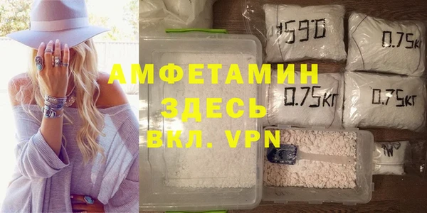 СК Алексин