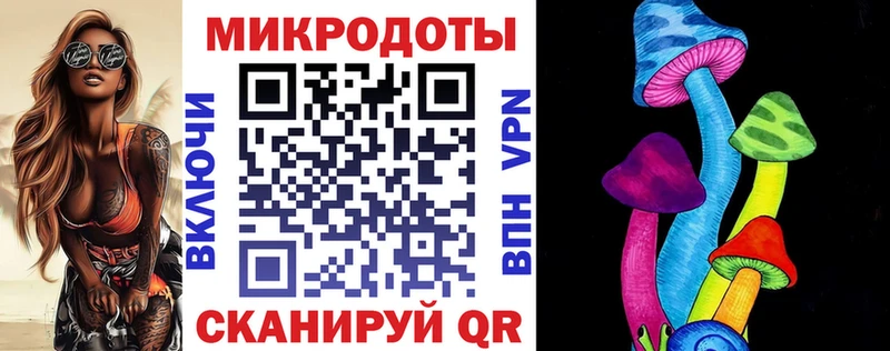 где можно купить наркотик  Галич  Галлюциногенные грибы GOLDEN TEACHER 